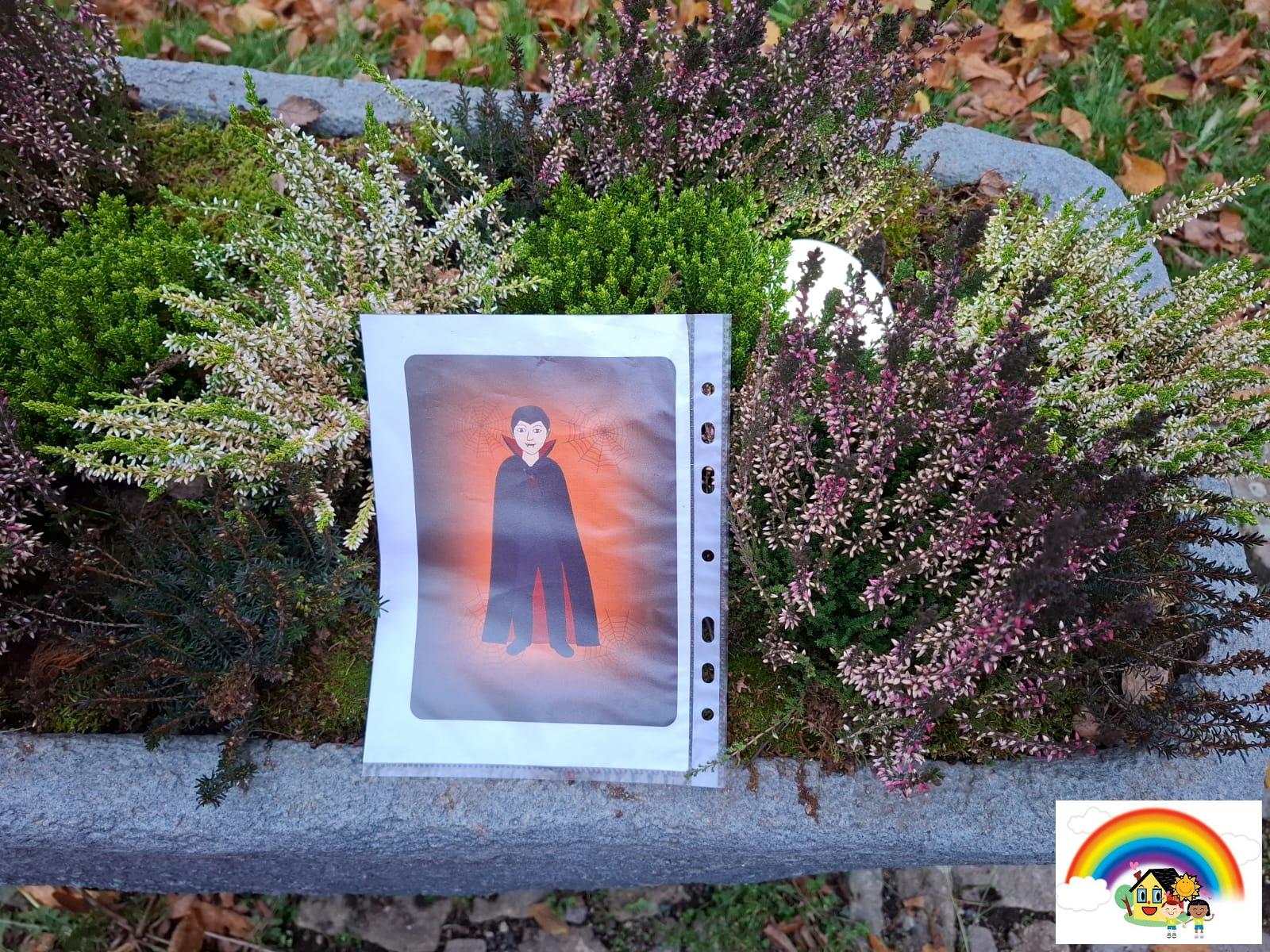 Obrázek WhatsApp, 2025-11-03 v 17.56.27_9f20fa60