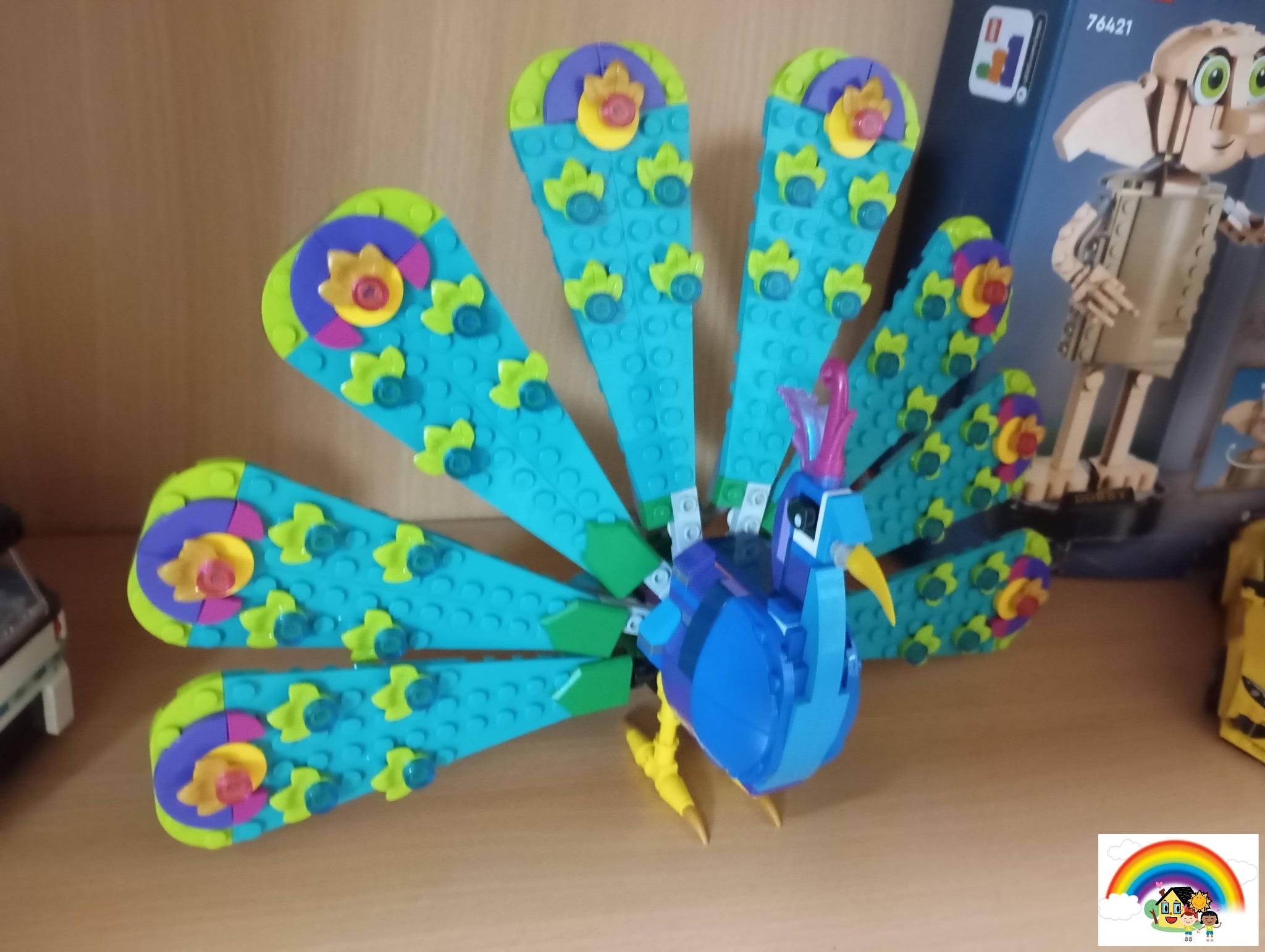 615176352_10232451949387532_6322346664512733115_n