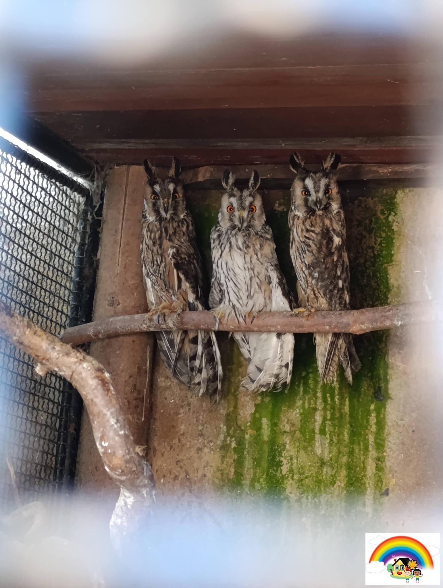 644967956_10215082856260914_6451593693985887113_n