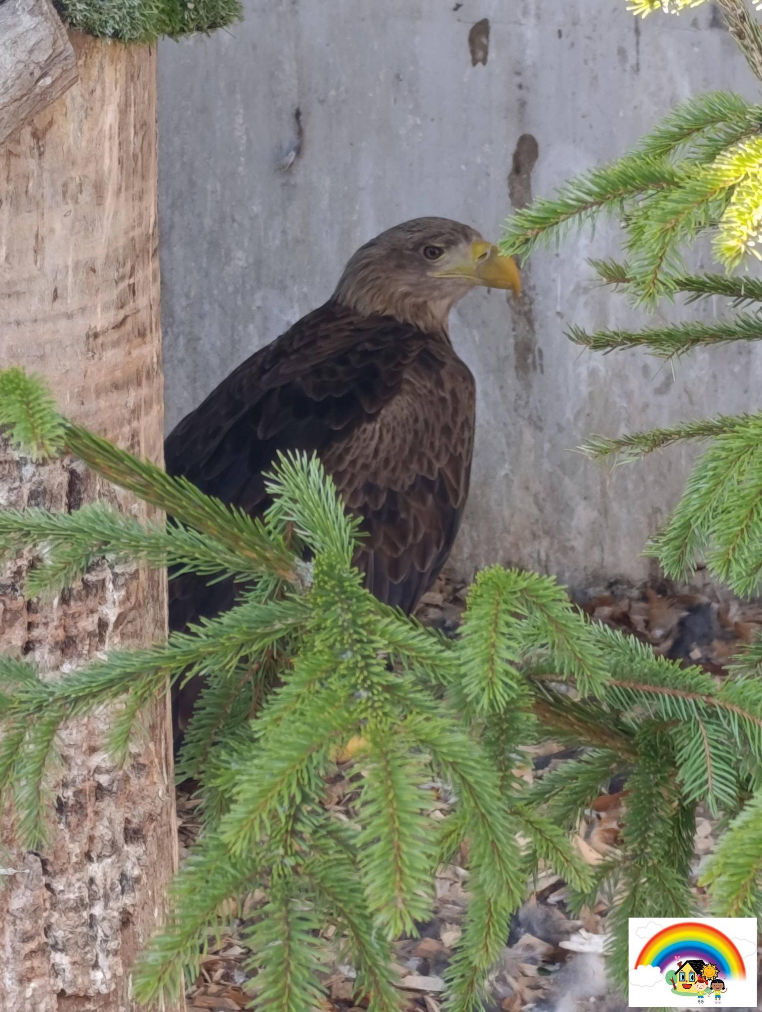 646425083_10215082687176687_1577512792334253164_n