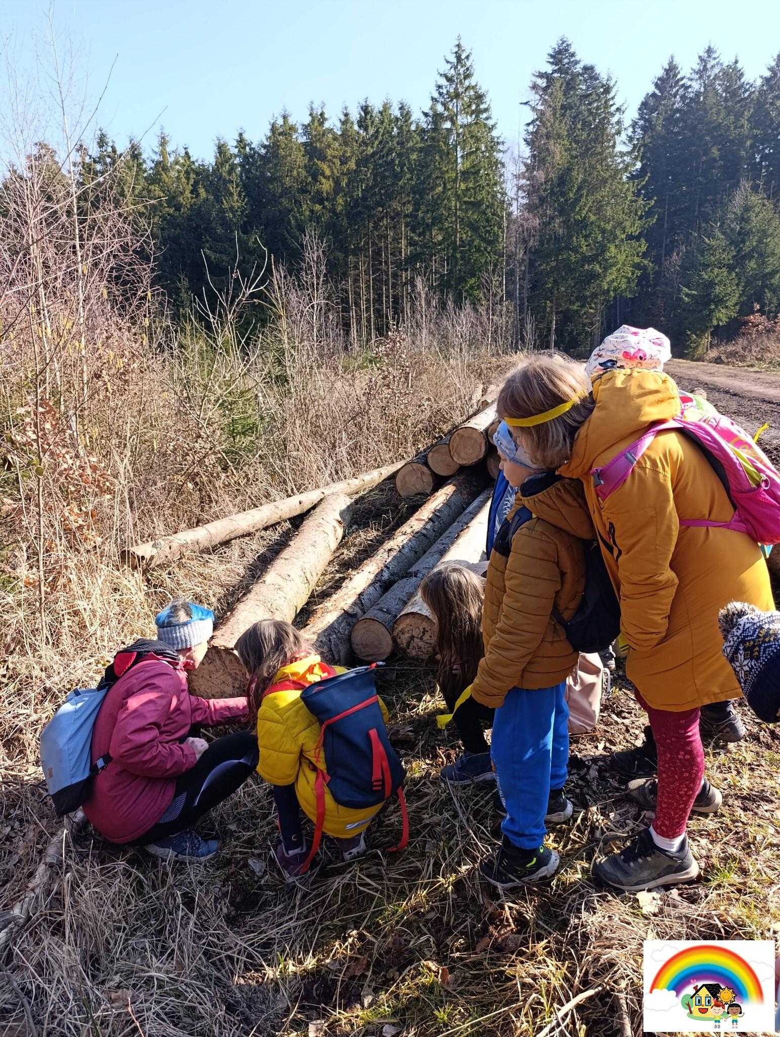 645580380_10215102104942119_469062339729690130_n