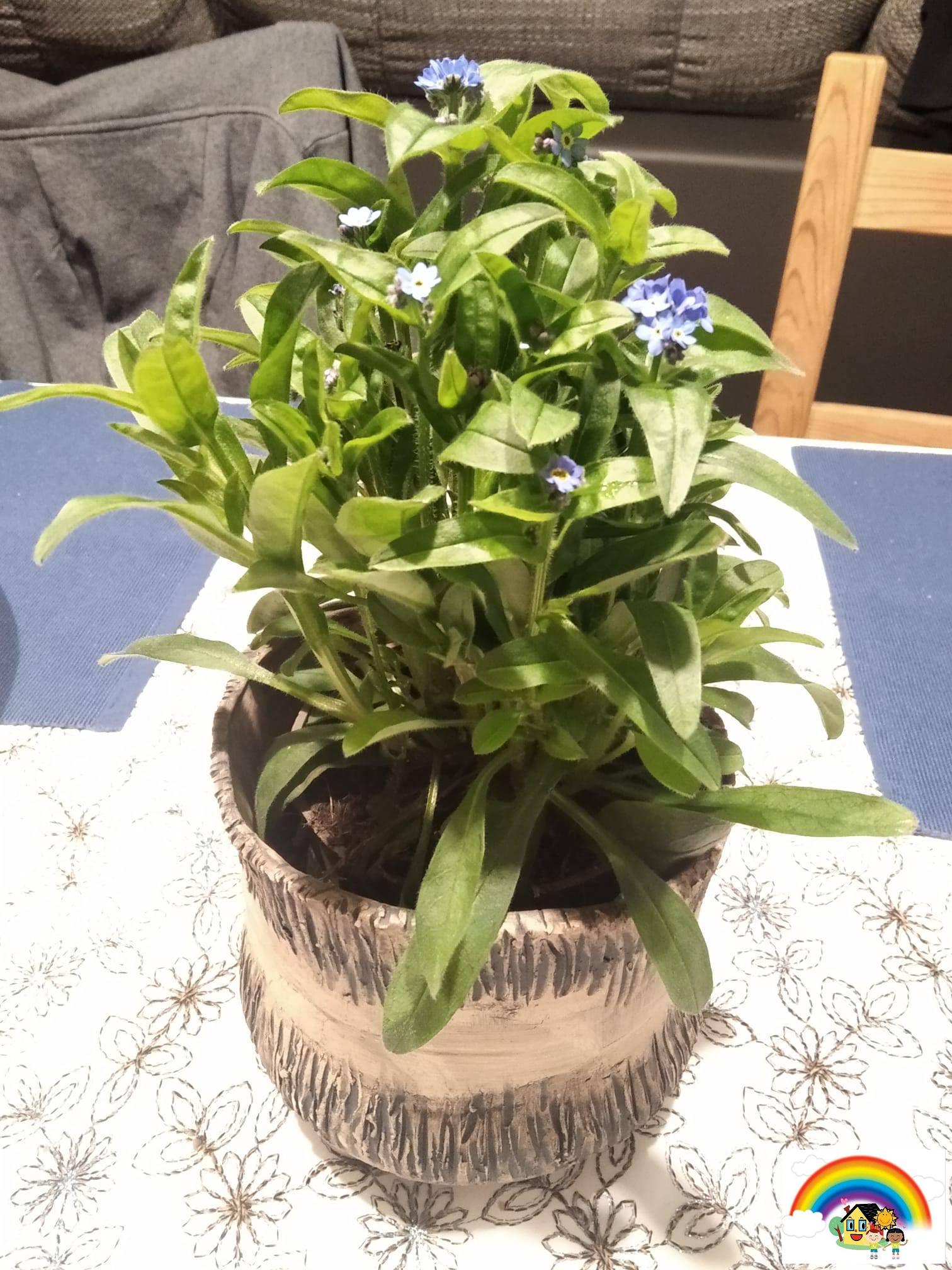 654863159_27034938689440463_148691879611905421_n