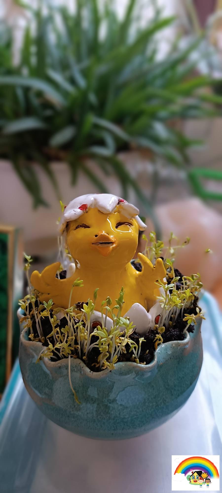 660388158_27077869128480752_8950540054187800591_n