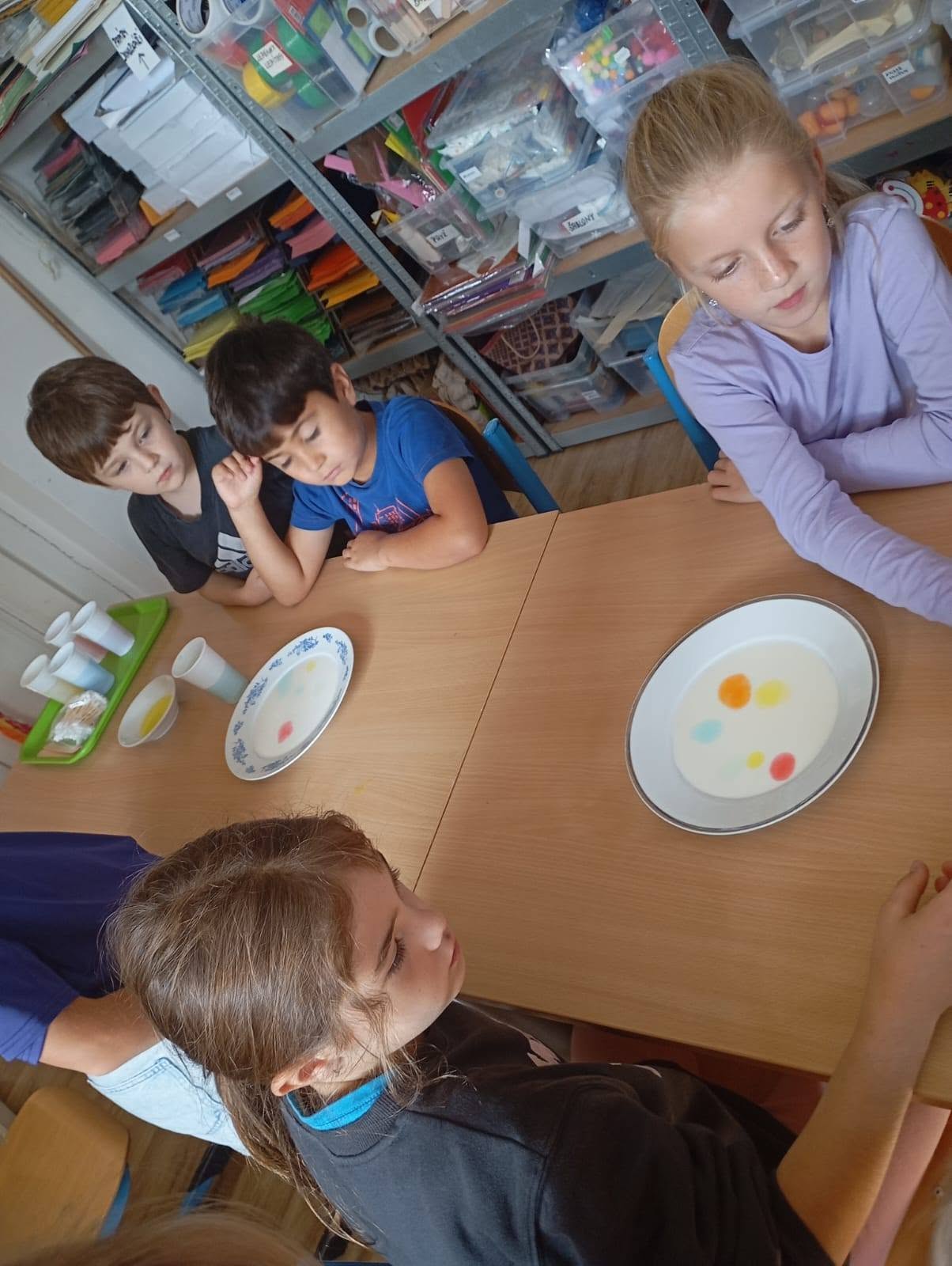 796402265_122115484569324617_4360285239289884298_n